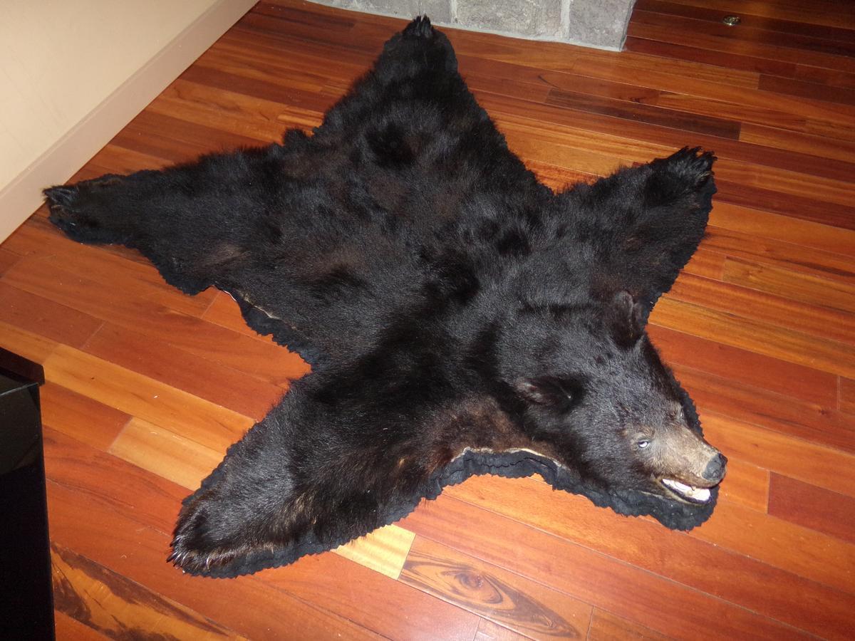 Cowlitz River Lodge パックウッド エクステリア 写真