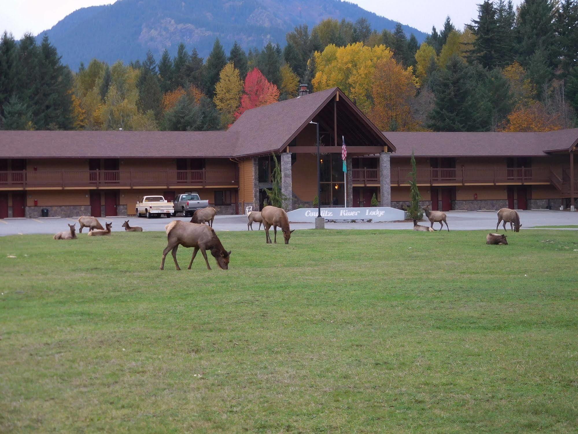Cowlitz River Lodge パックウッド エクステリア 写真