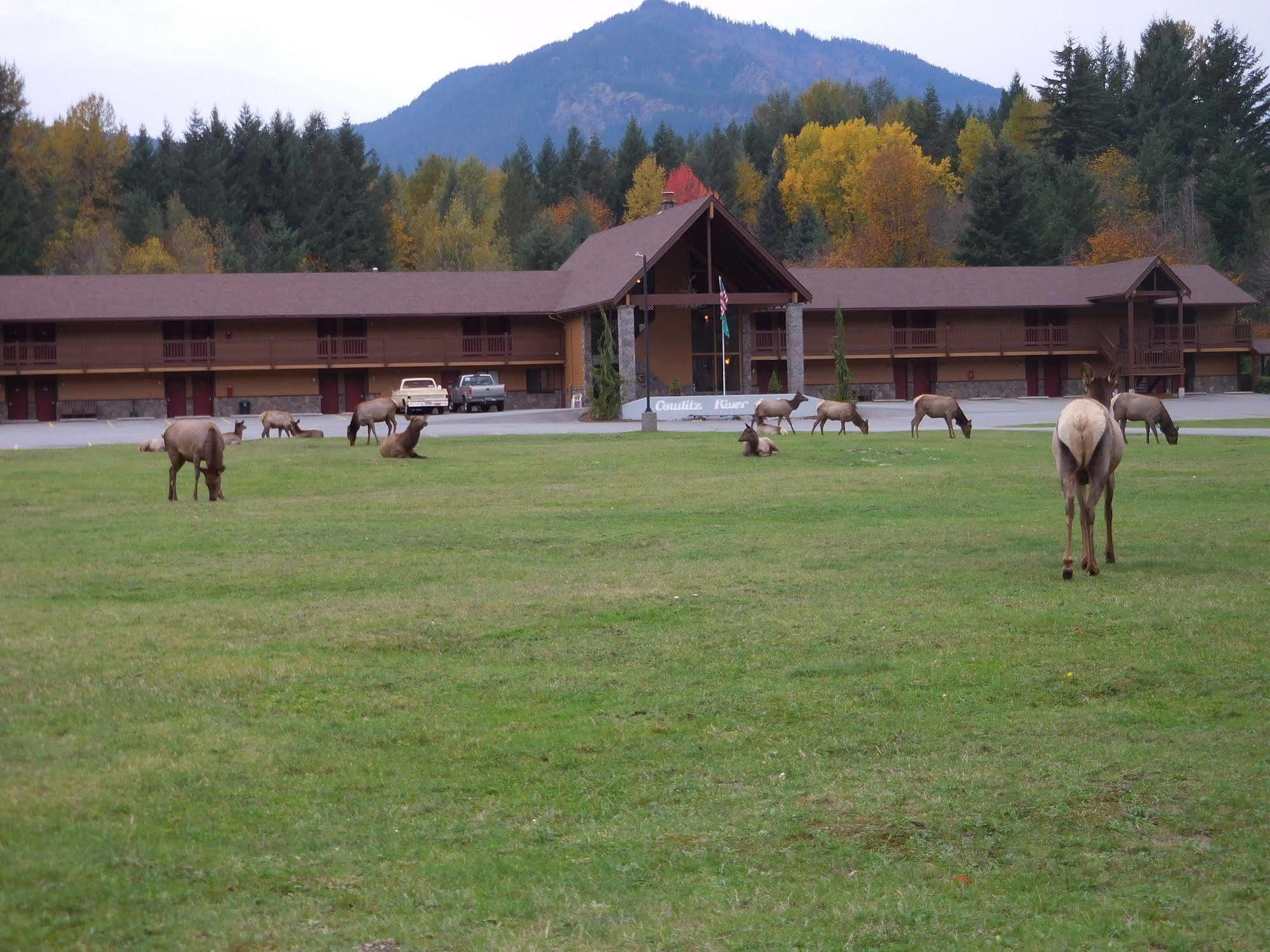 Cowlitz River Lodge パックウッド エクステリア 写真