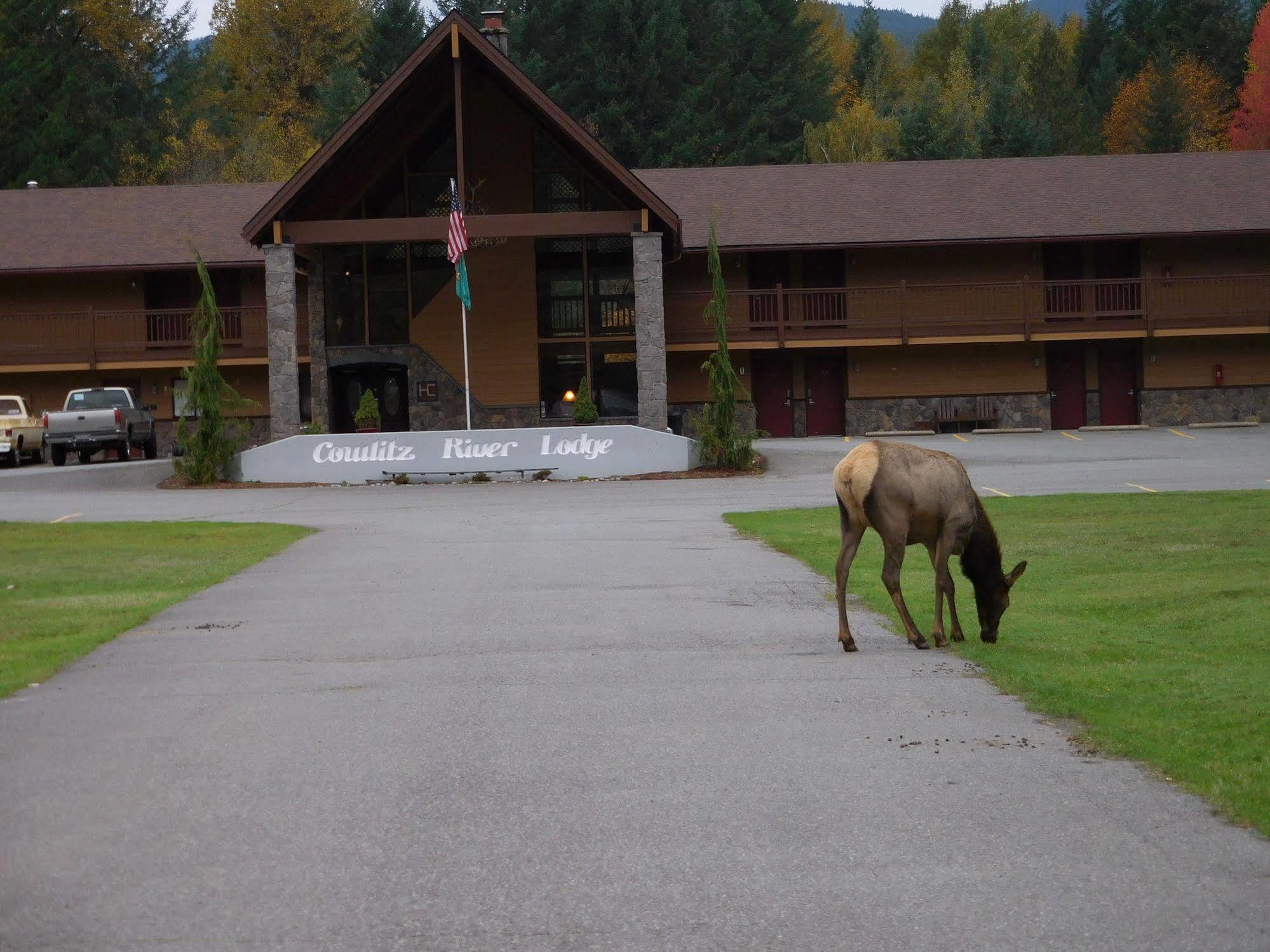 Cowlitz River Lodge パックウッド エクステリア 写真