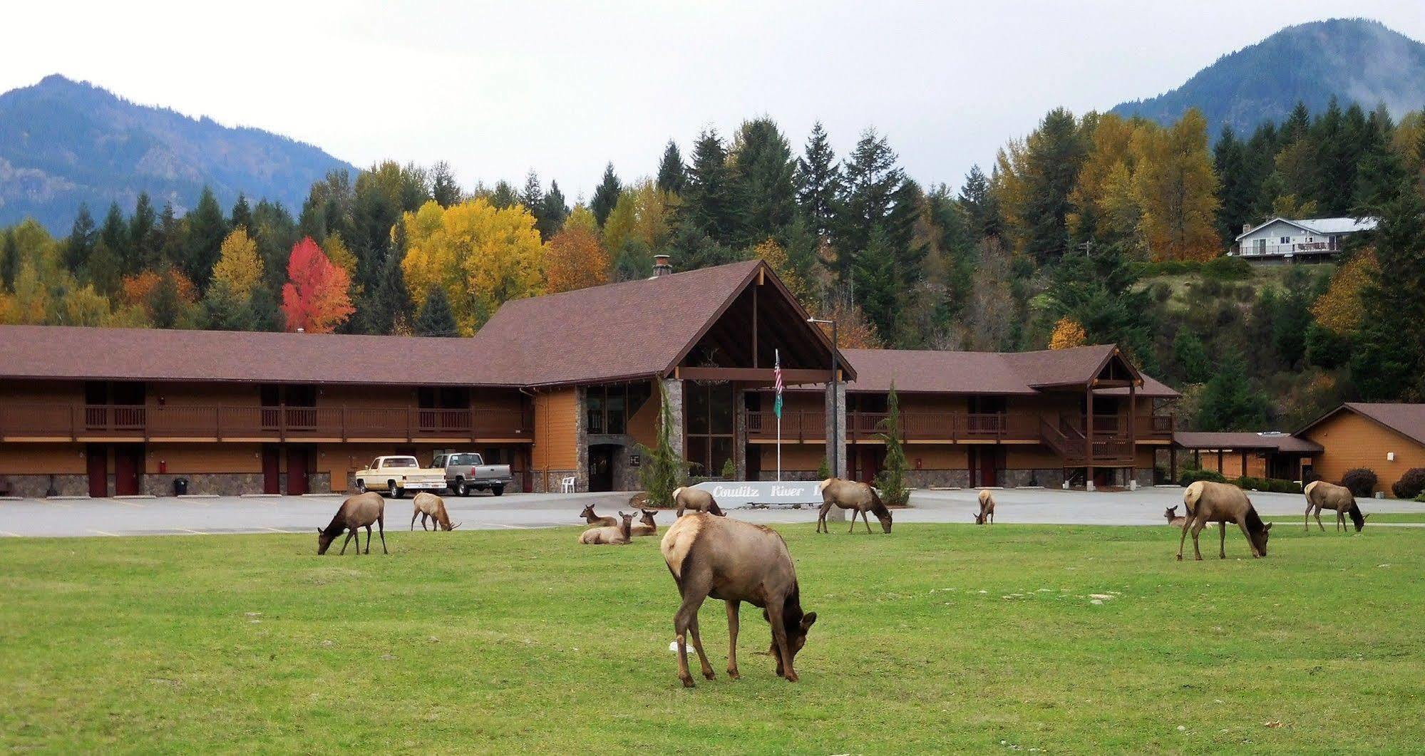 Cowlitz River Lodge パックウッド エクステリア 写真