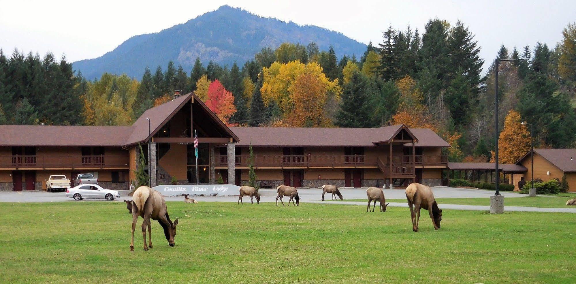 Cowlitz River Lodge パックウッド エクステリア 写真